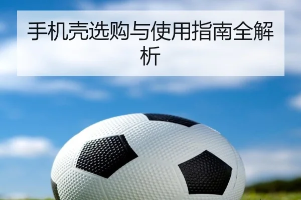 img_1781337774570_919_1_732.jpg